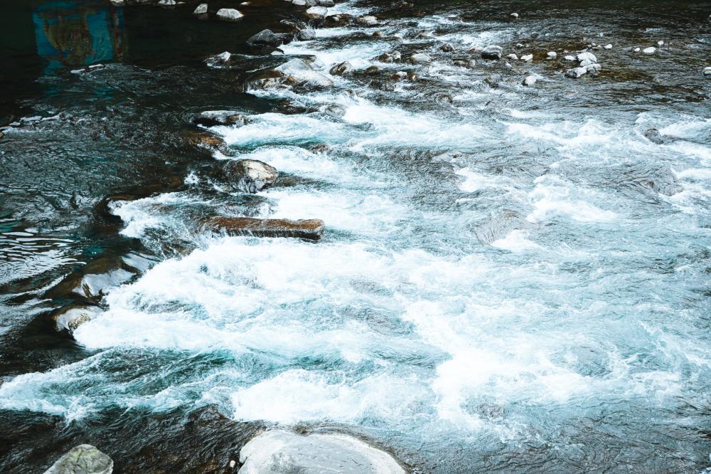 茶山繚療──春澗學