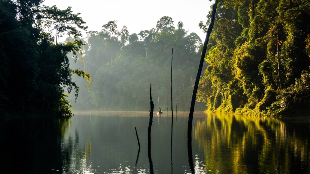 馬來西亞三大熱帶雨林秘境 結合奢華度假、自然探索與文化體驗，一次收藏雨林魅力