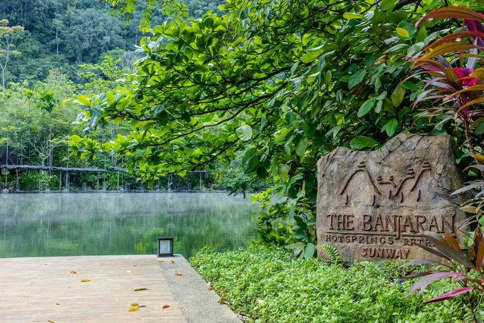 馬來西亞三大熱帶雨林秘境 結合奢華度假、自然探索與文化體驗，一次收藏雨林魅力