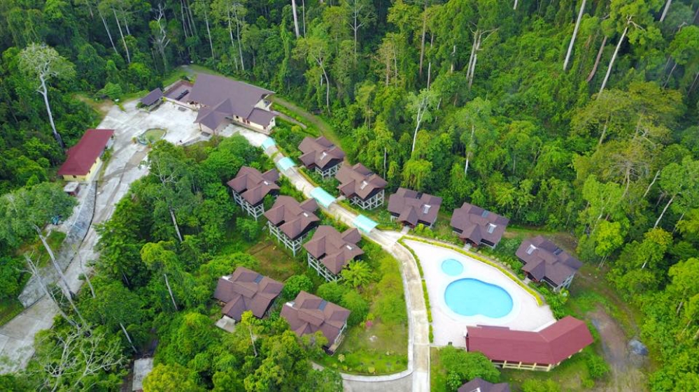 馬來西亞三大熱帶雨林秘境 結合奢華度假、自然探索與文化體驗，一次收藏雨林魅力