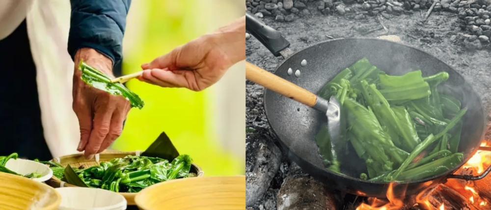 動靜之間的深度修復：走進後山野地廚房，或在早晨與自己對話