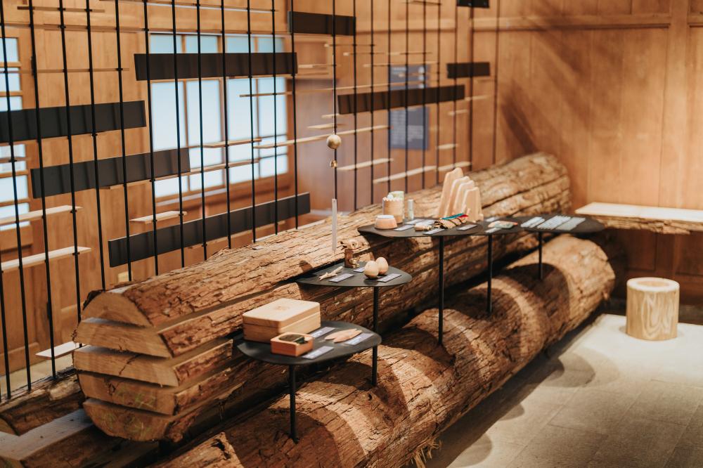 「森記・事 Forest Era｜林業故事館」從林業發展的制度與技術，使阿里山的百年記憶得以重新被閱