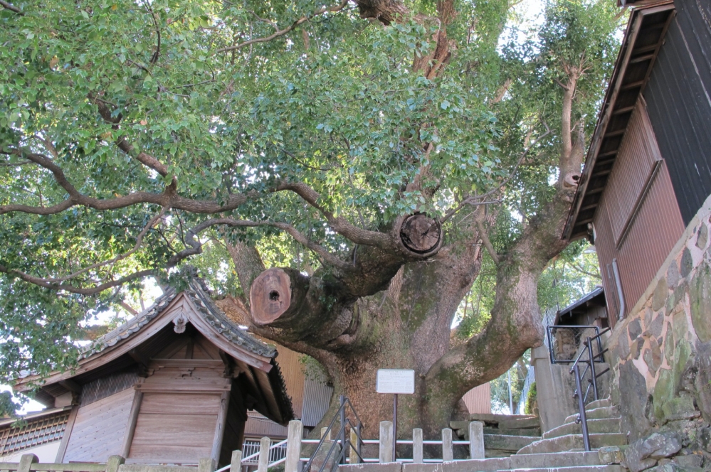 紐約時報推薦！長崎入選「2026年必去52地」