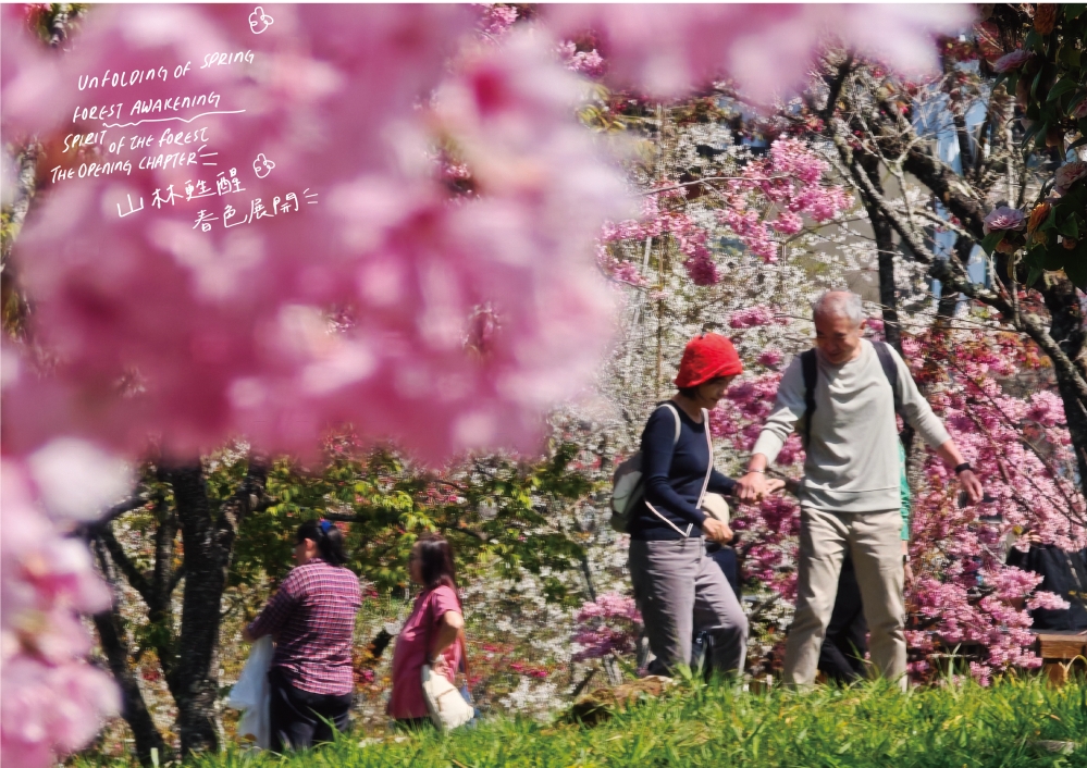 2026 阿里山風格季｜春櫻、神獸、面具遊行奇幻登場