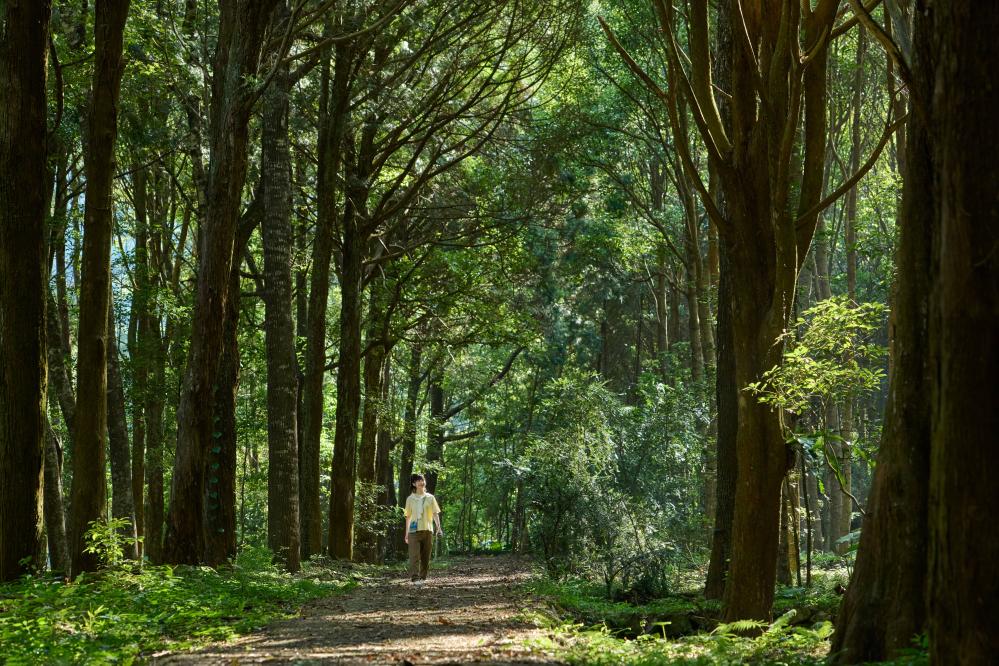 數位排毒：喚醒感官之旅
