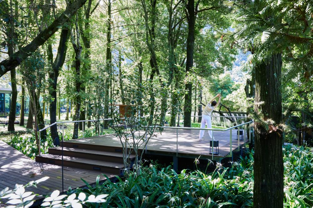 數位排毒：喚醒感官之旅