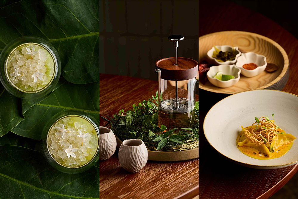 「Nove」當代義式餐廳在台北東區正式開幕