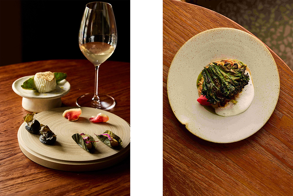 Nove已推出第一季完整菜單