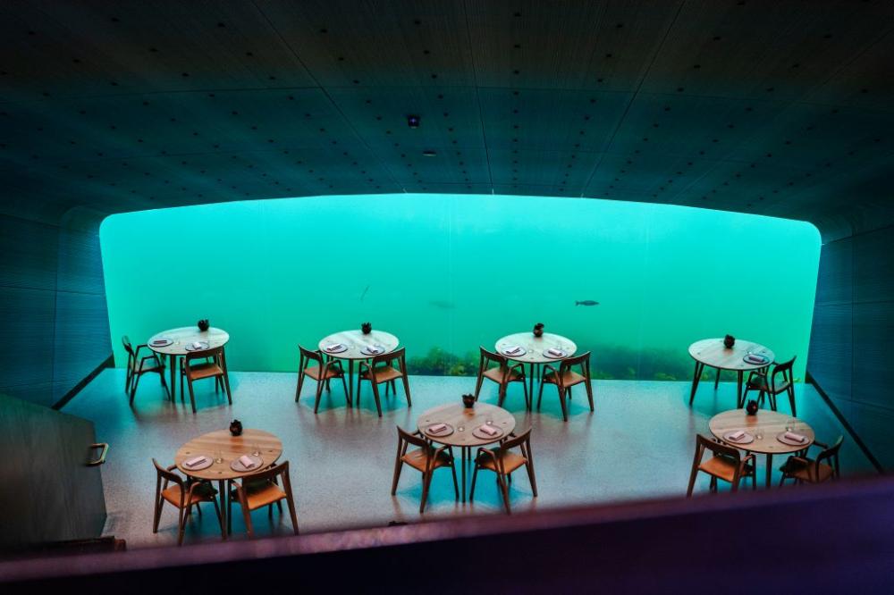 用餐的人們像是在海底世界觀看著海洋生態