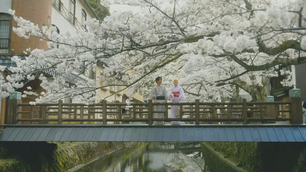 賞櫻漫步溫泉街