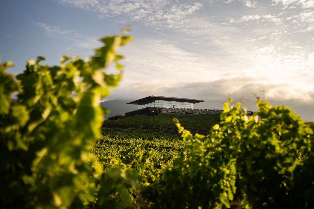Bodegas Baigorri：漂浮葡萄園之上的極簡玻璃建築