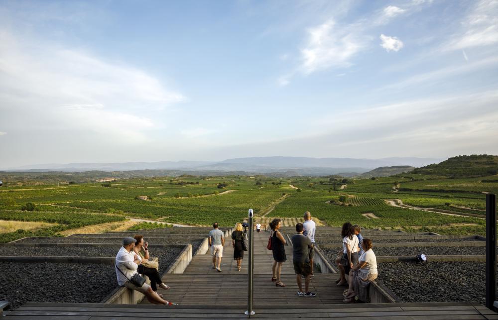 在這裡，您可以與釀酒師並肩漫步葡萄行間，於採收季節親手觸摸飽滿的果串