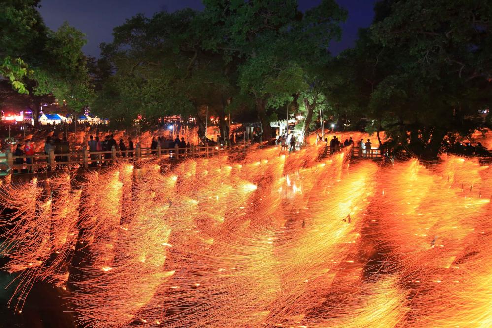 世宗特別自治市：「韓文文化首都」三大櫻花路，與千年落火遊戲的浪漫星火