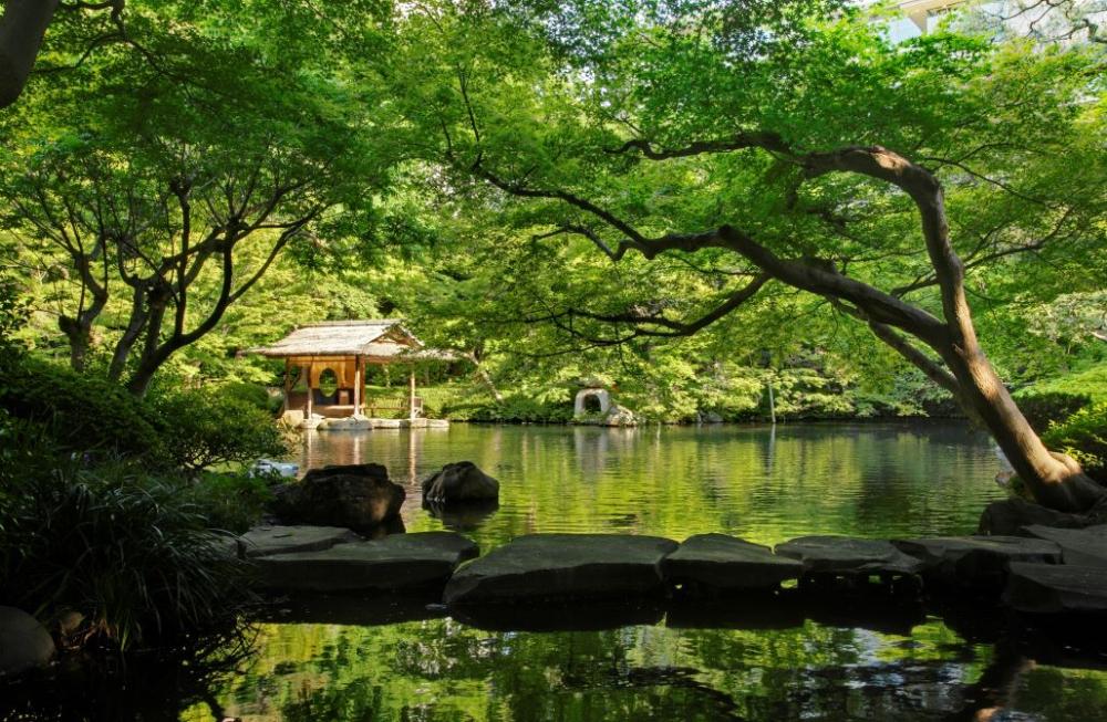 八芳園的設計哲學，精髓在於「梳理自然（自然を整える）」。