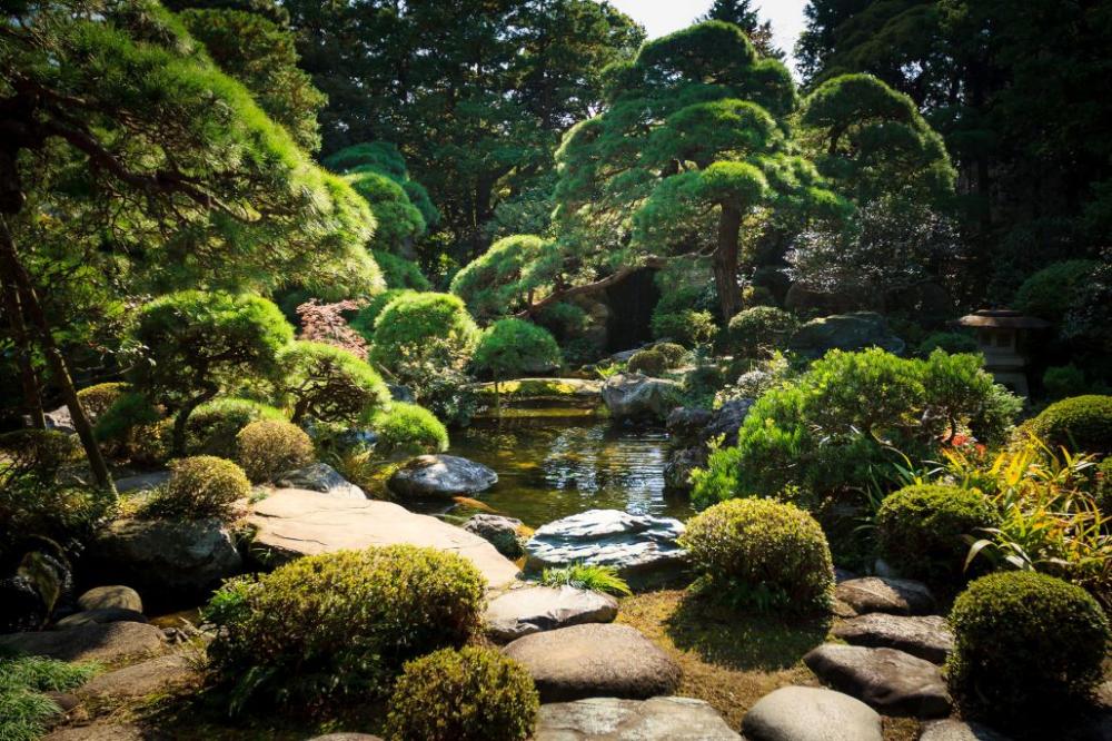 綠意盎然的書院造庭園是山本亭的視覺靈魂。