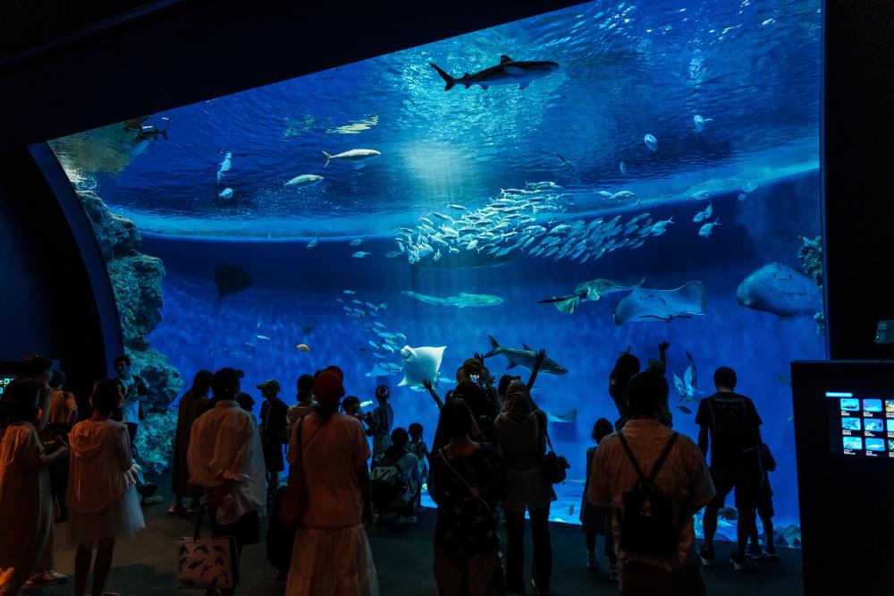 神戶須磨海洋世界