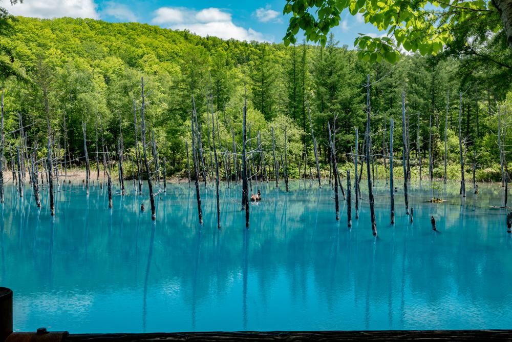 Nozo Hotel同時推薦了週邊的去處