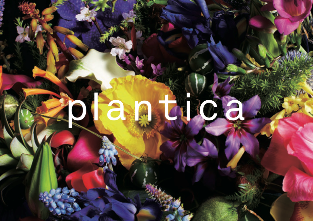 plantica