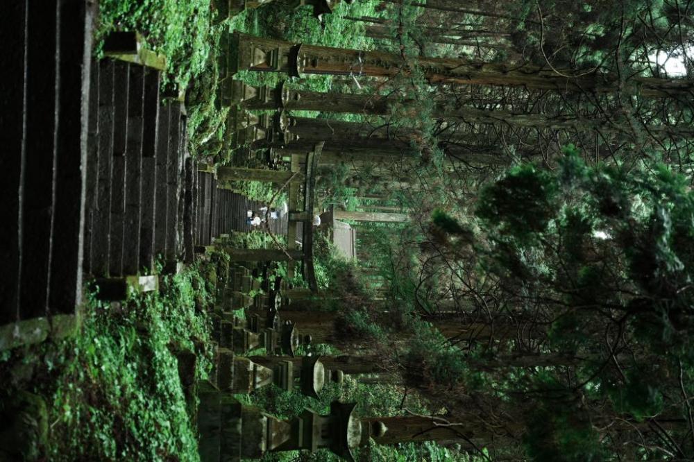 色見熊野座神社這座彷彿被時間遺忘在森林中的神社