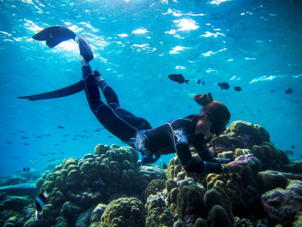 Marine Biologist - S.Candito-1