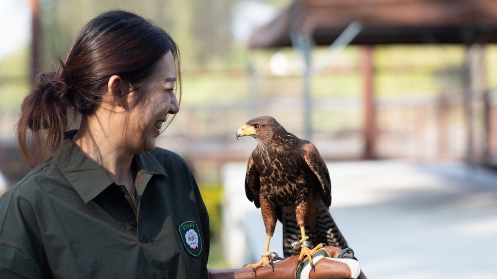 高雄內門野森動物學校