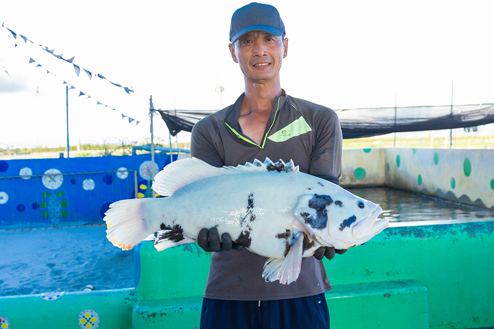 高雄永安有「石斑魚的故鄉」稱號，近年更積極投入友善養殖、品牌發展及食魚教育推廣等產業復興工作。圖為社