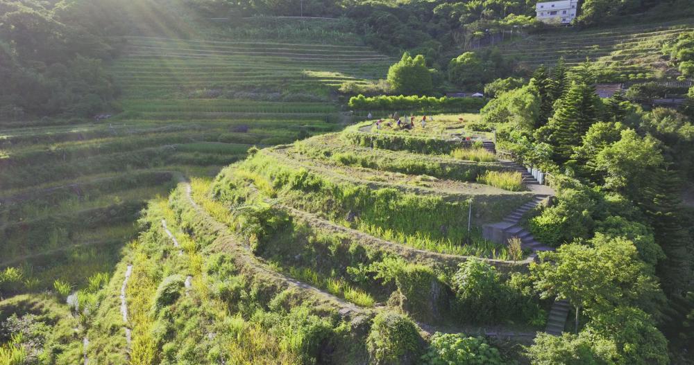水圳灌溉尖山湖一帶於山澗及溪谷兩旁的梯田。