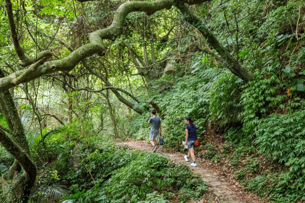 石門青山瀑布步道旁清光緒年間開鑿的坎底寮百年古老石砌水圳