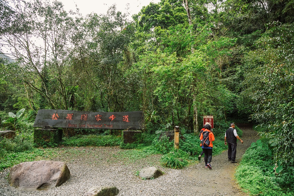 宜蘭大同松羅國家步道橫跨溪谷的單索吊橋與茂密熱帶雨林蕨類生態
