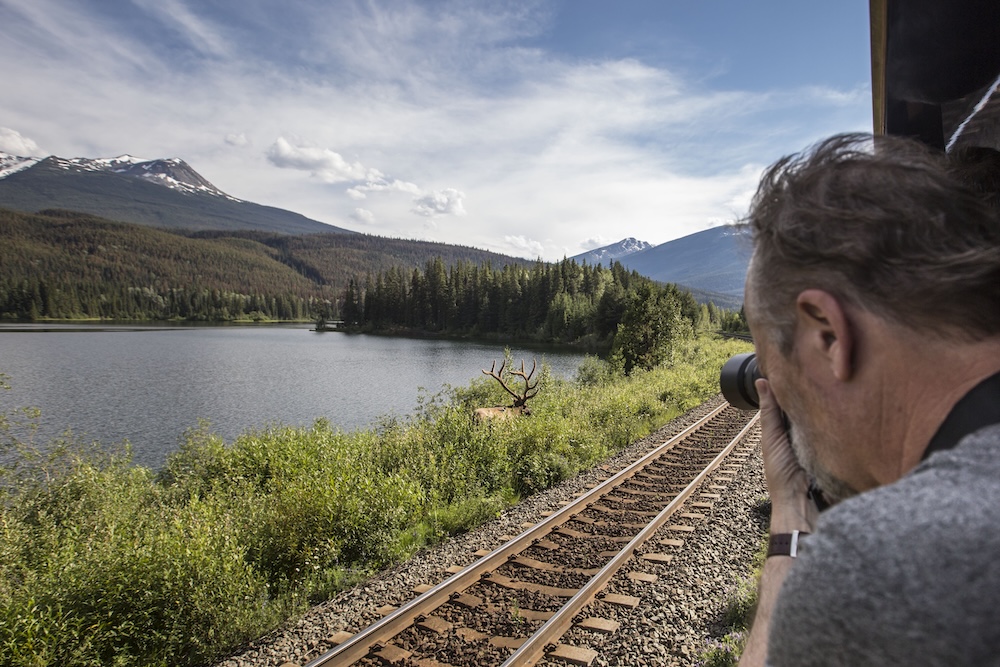 比起坐在座位上隔窗觀看，GoldLeaf 的戶外觀景平台更直接拉近旅人與荒野之間的距離