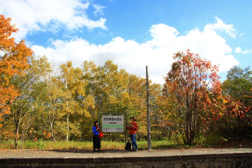 1-北海道川湯溫泉車站月台旁美麗秋景。  圖：JR北海道提供
