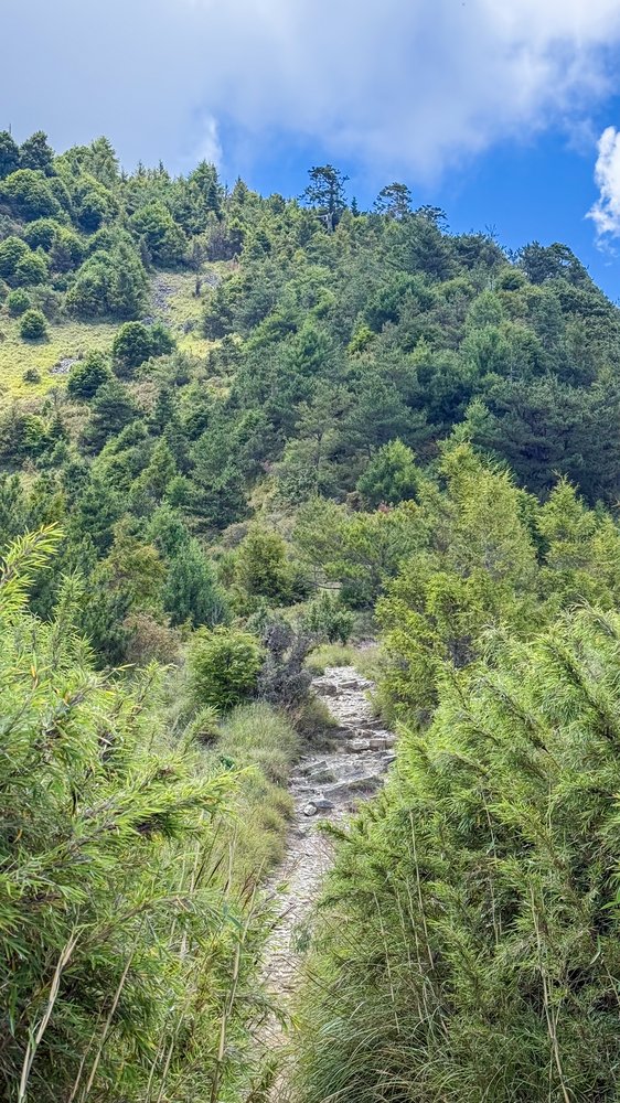 哭坡裸露的碎石一路朝雪山東峰陡升