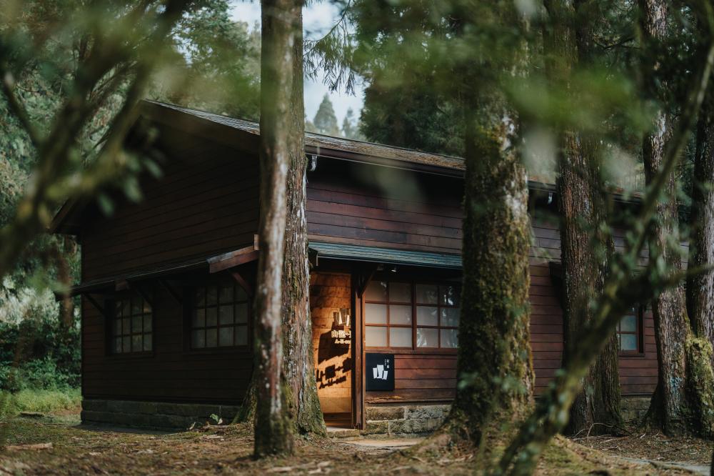 嘉義阿里山「林業故事館、山野創作館」正式開幕！走進森林閱讀百年林業歷史
