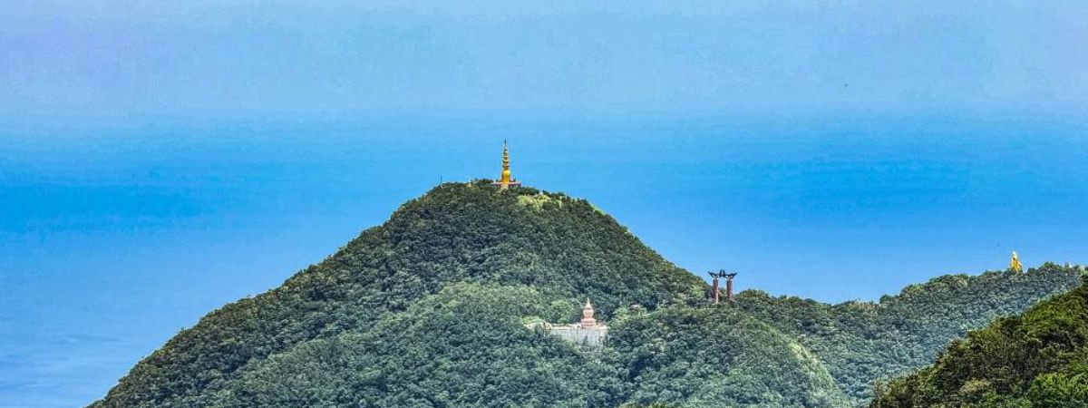 初春走進迷霧古道，找回山林裡的私藏詩意