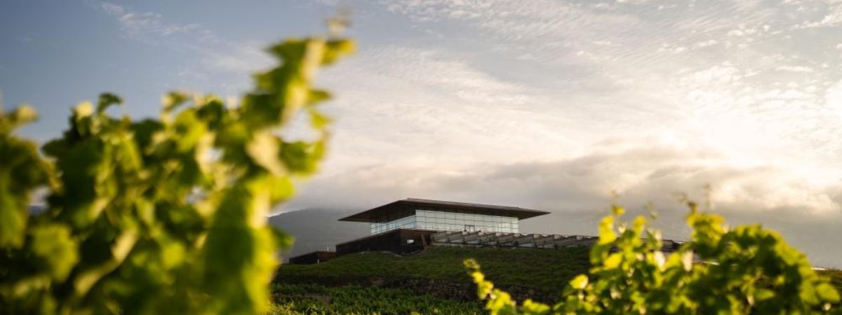 當代酒莊的建築覺醒，挑戰產區地景巔峰